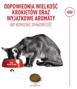 Royal Canin Fussy Exigent 2kg karma sucha dla kotów dorosłych, wybrednych 10