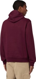 Champion Bluza męska Hooded Sweatshirt bordowa 220271 RS522 L 3