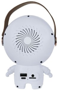 Bezprzewodowy przenośny zestaw do karaoke głośnik bluetooth + 2x mikrofon 4