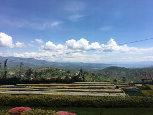 Kawa ziarnista Muhabura Kawa ziarnista RWANDA MUHABURA NATURAL ESPRESSO 400g 3