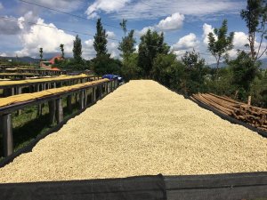 Kawa ziarnista Muhabura Kawa ziarnista RWANDA MUHABURA NATURAL ESPRESSO 400g 6