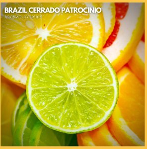 Kawa ziarnista Świeżo Palona Kawa ziarnista Brazil Cerrado Espresso 250g 4