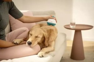 Masażer Beurer Buddy biały/zielony - Urządzenie do masażu dla majdziów PP410 (4052095105241) 3