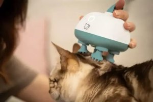 Masażer Beurer Buddy biały/zielony - Urządzenie do masażu dla majdziów PP410 (4052095105241) 4