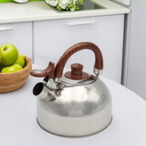 Brunbeste Czajnik stalowy z gwizdkiem tradycyjny na gaz indukcyjny srebrny 2.5L 3