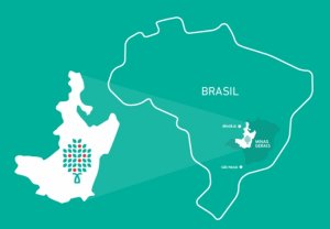 Kawa ziarnista Caffe Grano Kawa ziarnista Brazylia Cerrado Chapada de Ferro Espresso 1kg 3