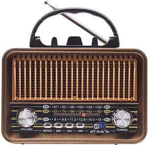 Radio Tracer Radio FM RTX200 145
