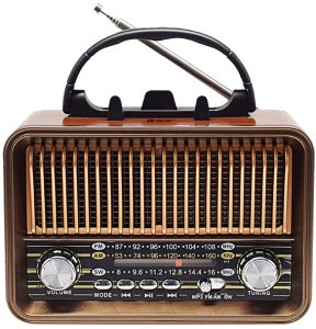 Radio Tracer Radio FM RTX200 2