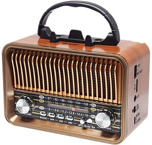 Radio Tracer Radio FM RTX200 203