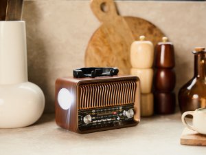 Radio Tracer Radio FM RTX200 250