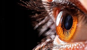 Kabel Interlook Kabel HD2.1V 8K 3M HDMI - HDMI 3 m 7