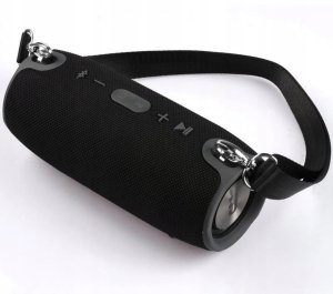 Głośnik Interlook Głośnik przenośny TG-120-BLACK czarny 12 W 11