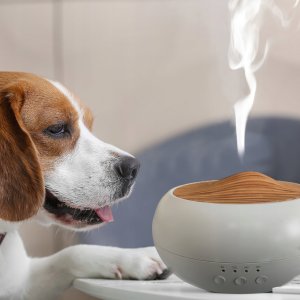Dyfuzor zapachowy Retoo NAWILŻACZ POWIETRZA DYFUZOR ZAPACHOWY LAMPKA LED 7