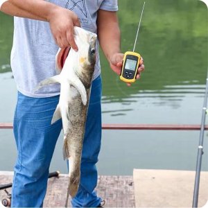 Lucky Sonar RF Wędkarska Echosonda Bezprzewodowa Detektor Wykrywacz Ryb 5