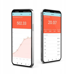 Wyłącznik nadprądowy / bezpiecznik - WiFi 2P 10