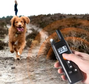 Obroża Treningowa Uniwersalna 3 Kanały Pilot Odbiornik USB-C Latarka 800m. 10