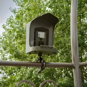 Karmnik Dla Ptaków z Kamerą WiFi Fotopułapka Solarna PIR Aplikacja Edukacja 15