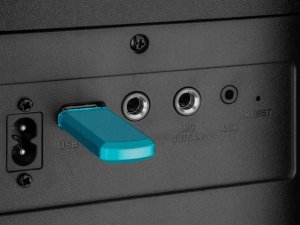 Głośnik Sven Głośnik PS-1000, czarny (180W, TWS, Bluetooth, FM, USB, wyświetlacz LED, 8000mA*h) 4