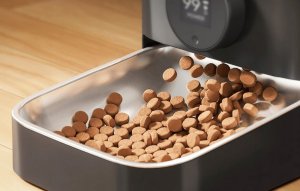 Inteligentny dozownik karmy WiFi Oneisall 5L PF08 4