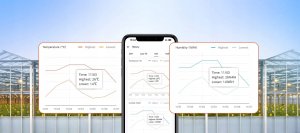 Sonoff Czujnik Temperatury i Wilgotności ZigBee LCD SNZB-02WD 11