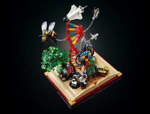 LEGO Ideas Ewolucja przedmiotów ścisłych (21355) 7