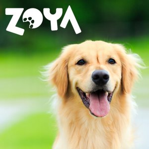 Zoya Jeleń – puszka mokra karma dla psów 400g 3