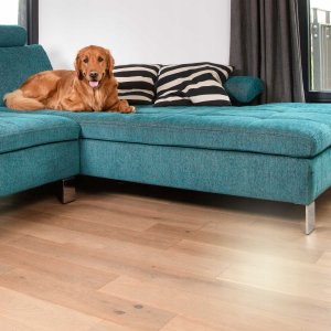 Vileda Pet Pro Wkład do szczotki do sierści i włosów Always Clean 15