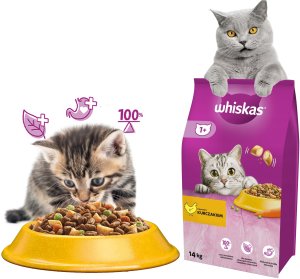 WHISKAS Sucha Kurczak 14kg 12
