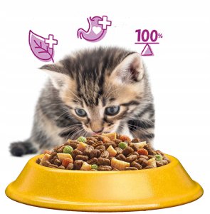 WHISKAS Sucha Kurczak 14kg 3