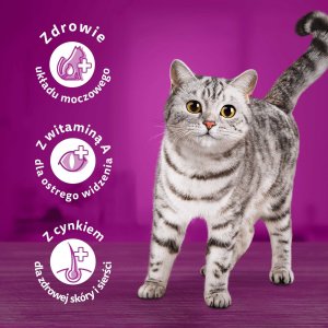 WHISKAS Sucha Kurczak 14kg 6