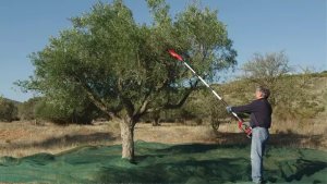 Einhell GE-FS 18/53 Li-Solo 3