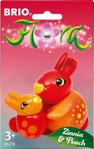 Brio Zinnia & Peach 4