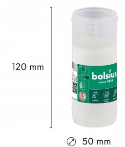 Bolsius Świece stołowe białe 4gab.kaste 245/24mm 8717847160683 8717847160683 (8717847160683) 3