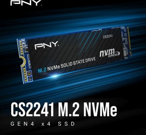Dysk SSD PNY M280CS2241-2TB-RB urządzenie SSD M.2 PCI Express 4.0 NVMe 3D NAND 2
