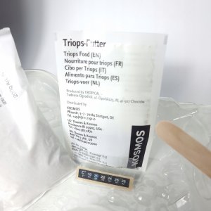 Kosmos Kit zestaw do eksperymentów Triops-Welt 633073 od 8 lat 4