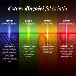 Neno BEAUTY LUVE Wielozadaniowe urządzenie do pielęgnacji twarzy z mikroprądami i technologią odmładzania skóry 8