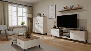 RTV POINT 2D KASZ/CAST 2