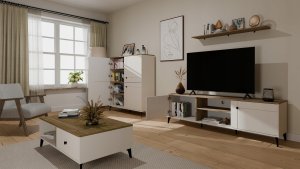 RTV POINT 2D KASZ/CAST 3