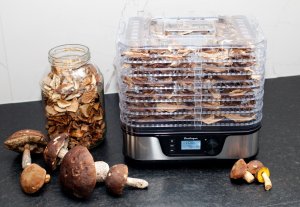 Suszarka Berlinger Suszarka do grzybów owoców | regulacja czasu i temperatury | 6 SIT 13