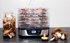 Suszarka Berlinger Suszarka do grzybów owoców | regulacja czasu i temperatury | 6 SIT 16