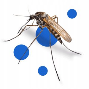 BROS Bagosel 100EC 30ml - preparat do oprysku ogrodu przeciw komarom i kleszczom 4