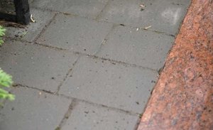 Tenzi TENZI TopEfekt MOSS 1L 5