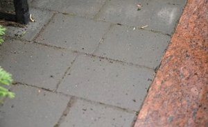 Tenzi TENZI TopEfekt MOSS 1L 10