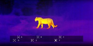 Smartfon Oukitel Smartphone WP55 Ultra Thermal 5G 6.6" 16/512GB 11000mAh Black 6