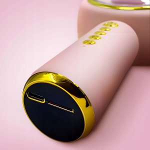 Mikrofon Renew Force Mikrofon MIKROFON DLA DZIECI DO KOMPUTERA BEZPRZEWODOWY 6