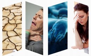 Nawilżacz powietrza Warmtec Mist Up 16