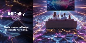 Telewizor Blaupunkt 43QLW6000S 8