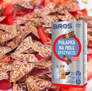 Bros BROS - pułapka na mole spożywcze DUO + 2 wkłady 3
