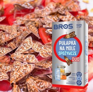 Bros BROS - pułapka na mole spożywcze DUO + 2 wkłady 8