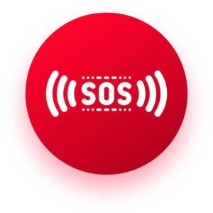 Bezprzewodowy Alarm GSM 1x PIR Syrena + SIM Orange 13